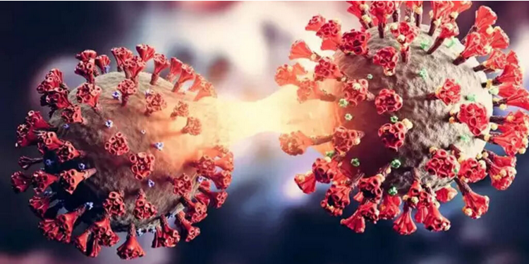 Do You Know the Latest Updates About Covid-19 Corona XE Variant?